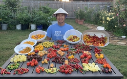 Người Việt tự lai tạo 2.000 giống ớt trên mảnh vườn ở Mỹ