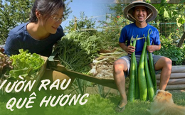 Xuất ngoại trồng rau củ thuần Việt