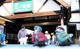 Người phụ nữ đan áo cho đàn chim sắt, biến chúng thành biểu tượng du lịch của Nhật Bản