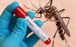Hà Nội: 4 ca tử vong vì sốt xuất huyết, ghi nhận thêm chủng virus mới