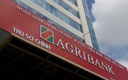 Agribank bán nợ trăm tỷ của chủ dự án khu du lịch nghỉ dưỡng khoáng nóng Cúc Phương