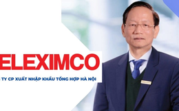 Geleximco trước khi làm ô tô: Hệ sinh thái đồ sộ từ BĐS, tài chính, Điện, giấy... đến nuôi lợn và trồng vải thiều