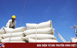 Thủ tướng yêu cầu nghiên cứu việc Ấn Độ cấm xuất khẩu gạo