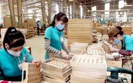 'Có doanh nghiệp gỗ giảm đến 80% doanh thu từ thị trường Mỹ, kim ngạch sang EU về 0'