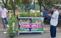 Lan đột biến rớt khốc liệt từ tiền tỉ xuống vài chục ngàn vẫn không ai mua