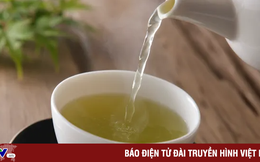 Uống trà mỗi ngày có giảm nguy cơ mắc bệnh tiểu đường hay không?