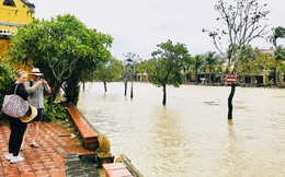 Chủ homestay miền Trung: 'Giờ mới có điện, bão đến bay mấy tấm tôn'