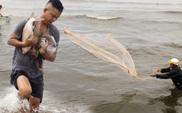Nghề độc chỉ có sau bão ở Đà Nẵng: Ra biển "săn" cá nước ngọt "khủng"