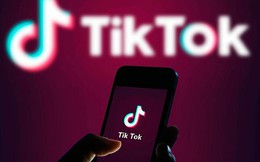 Netflix, Google, TikTok,... nộp thay các cá nhân Việt Nam gần 500 tỷ đồng