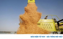 Cứu thế giới khỏi nạn đói, Ấn Độ lực bất tòng tâm?