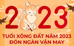 Năm 2023, có 4 tuổi xông đất cực tốt đem lại may mắn, tiền tài cả năm cho gia chủ