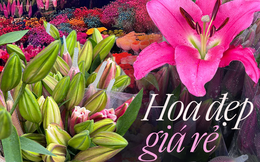 Mách bạn bí kíp mua hoa chợ Quảng Bá giá rẻ mà vẫn đẹp