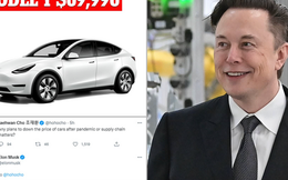 Chủ xe Tesla bị 'hớ' khi hãng hạ giá mạnh: Vừa mua đã thấy giá thấp hơn 300 triệu, bán xe cũ rẻ hơn gần 500 triệu vẫn không ai 'ngó ngàng'