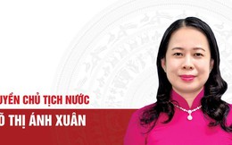 Chân dung Quyền Chủ tịch nước Võ Thị Ánh Xuân