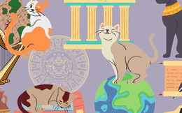 Những chú mèo có thật nổi tiếng nhất trong lịch sử nhân loại: Từ được ướp xác, làm thị trưởng đến ngôi sao màn bạc đều có đủ