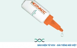 Ấn Độ chuẩn bị ra mắt vaccine Covid-19 dạng nhỏ mũi đầu tiên