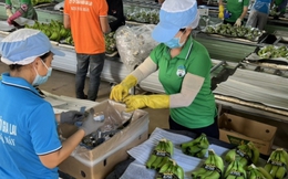 Khát vọng tỷ USD từ trồng chuối, nuôi heo của đại gia Việt