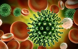 Những tác nhân virus gây bệnh mới nổi