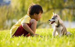 Cách đơn giản để giáo dục lòng nhân từ cho trẻ là dạy chúng biết yêu thương động vật