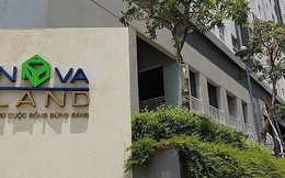 Novaland đạt 4.114 tỷ đồng LNTT trong năm 2022, đã giải ngân 29.858 tỷ cho hoạt động M&A