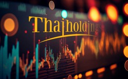 Thaiholdings lãi 337 tỷ đồng năm 2022