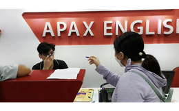 Cổ phiếu Apax Holdings (IBC) “quay xe” tăng trần 6 phiên liên tiếp, cổ đông lớn tiếp tục bị bán giải chấp thêm hàng triệu đơn vị