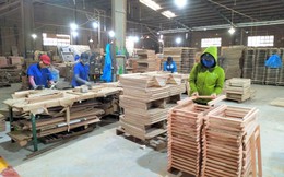 Phú Tài lên tiếng về tình hoạt động sau vụ Noble House phá sản, cổ phiếu giảm 3 phiên liên tiếp