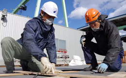 Nóng: Nhật Bản xem xét cho phép lao động nước ngoài ‘nhảy việc’ hợp pháp sau 1 năm thực tập