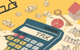 Xáo trộn top 1.000 doanh nghiệp nộp thuế lớn nhất: Hoa Sen, Masan, Viettel Global, Bitexco, Fe Credit vắng mặt, Hòa Phát, Formosa Hà Tĩnh, Aeon, Tiktok xuất hiện