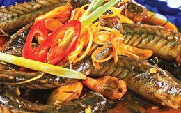 5 loại thực phẩm là "vua bổ thận", bồi dưỡng cực tốt cho phái mạnh: Chợ Việt bán nhiều, giá không hề đắt