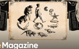 Homo sedentarius: Lược sử loài ngồi