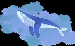 Vì sao cá voi xanh không bị ung thư?