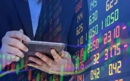 Doanh nghiệp in sách giáo khoa lên tiếng trước nguy cơ bị huỷ niêm yết