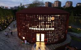 Starbucks chính thức mất ngôi vương ở 1 quốc gia châu Á vào tay chuỗi cà phê startup, số cửa hàng ít hơn cả nửa