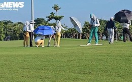 Kiểm tra thông tin báo chí phản ánh lãnh đạo Sở đi chơi golf giờ hành chính