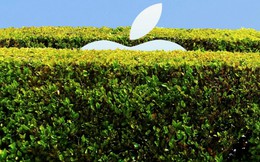 Khu vườn khép kín của Apple đang héo tàn bởi “kẻ hủy diệt” đến từ châu Âu