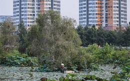 Soi khu 'đất vàng' dự kiến làm nhà ga đầu mối đường sắt tốc độ cao hơn 70 tỷ USD ở TP.HCM