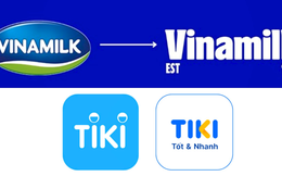 Hàng loạt thương hiệu từ Vinamilk, Bia Hà Nội đến Tiki thay đổi bộ nhận diện: Các nhãn hàng phải làm gì khi chỉ còn 3 - 6 giây để thu hút người dùng?