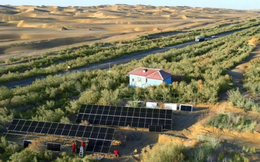 Cách Trung Quốc phủ xanh sa mạc 'Biển tử thần' rộng 330.000km2