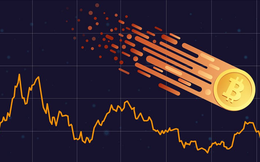 Bitcoin rơi "thẳng đứng", thủng mốc 41.000 USD vì bán tháo
