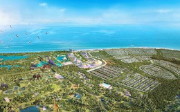 Hủy quy hoạch dự án Safari Hồ Tràm 630 ha ở Bà Rịa - Vũng Tàu