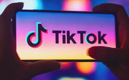 TikTok ra mắt tính năng Add to Music App tại Việt Nam