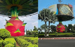 Ngoài mì tôm, Bình Thuận còn có trái thanh long cao 9m sừng sững giữa vòng xoay
