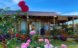 Ngôi nhà gỗ 40m² đẹp như cổ tích giữa hoa cỏ và mây trời ở Lâm Đồng