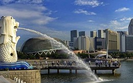 Dấu ấn 71 tỷ USD của các "sư tử" Singapore tại Việt Nam: Đầu tư siêu dự án trải dài nam bắc, xây nền móng thị trường Dầu ăn, làm bùng nổ ngành công nghệ