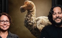 Loài chim Dodo đã tuyệt chủng có thể sẽ được các nhà khoa học “hồi sinh”