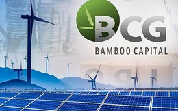 Bamboo Capital (BGC) lại chỉnh phương án sử dụng 2.667 tỷ đồng: Cắt hết khoản vốn rót thêm cho Bảo Hiểm AAA, dùng tiền cho công ty BĐS vay