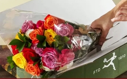 'Thánh đen đủi' mùa Valentine: Tặng 1 bó hoa cho 5 cô gái đều bị từ chối phũ
