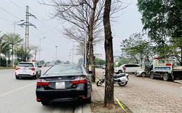 Lái xe Camry vi phạm nồng độ cồn, giấy phép lái xe mua... trên mạng