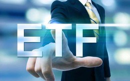 Bộ đôi quỹ ETF ngoại lâu đời nhất thị trường chứng khoán Việt Nam hút ròng gần 3.000 tỷ đồng trong tháng đầu năm 2023